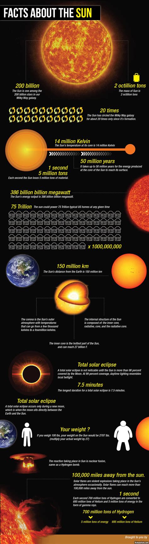 Interesting Facts About The Sun Infographic