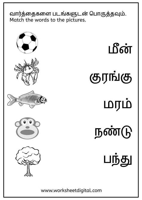 Tamil Worksheet Match The Words Worksheet Digital