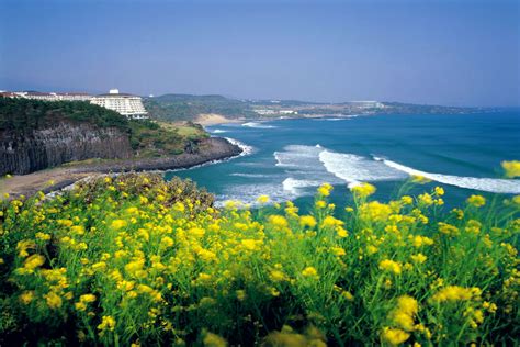 Beautiful Jeju Island In South Korea Korean Hawaii Most Beautiful Places In The World