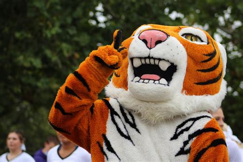 Featured Tigers — Logan Fetzer 21 Doane University