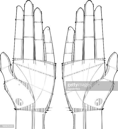Left Hand Palm Photos And Premium High Res Pictures Getty Images