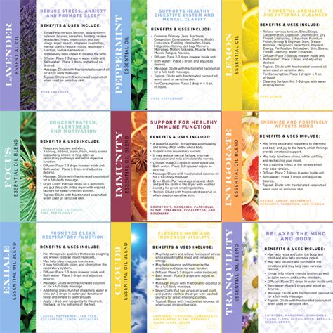 The Different Types Of Aromatherapy Oils And Their Benefits Essential Oils Uses Chart