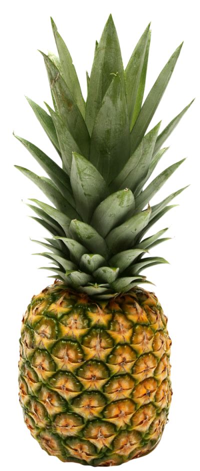 Pineapple Transparent
