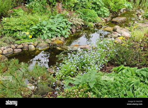 Perennial Stream Hi Res Stock Photography And Images Alamy