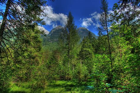 Photo Bavaria Germany Hdri Nature Mountains Forests