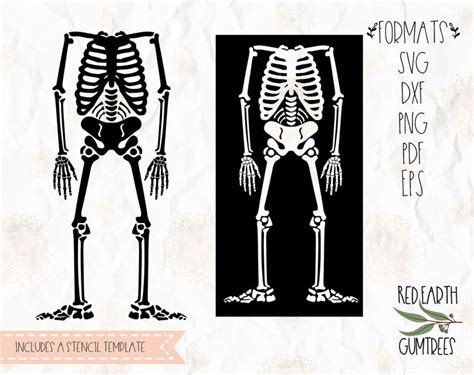 Skeleton Bones Skeleton Stencil Template Halloween Skeleton Shirt