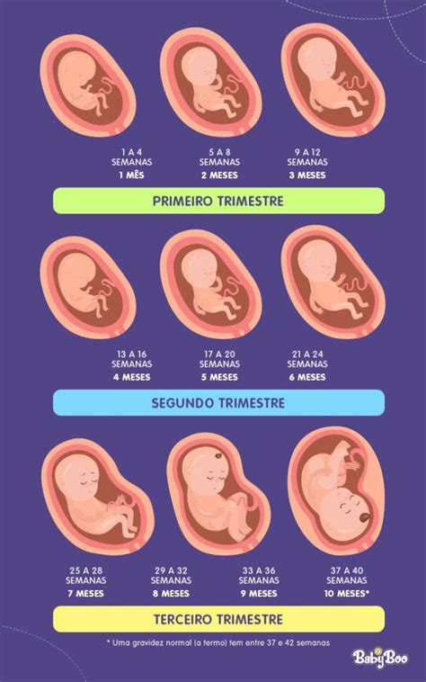 Pregnancy Eating Pregnancy Care Pregnancy Stages Pregnancy Workout