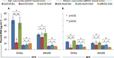 Plasmid Dna Yield E Coli Dh5α And Jm109 Were Transformed With