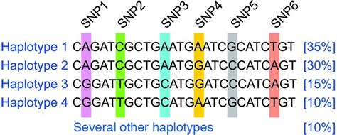 Jci A Hapmap Harvest Of Insights Into The Genetics Of Common Disease