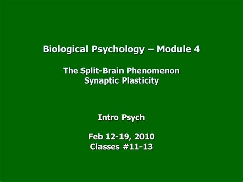 Biological Psychology Module 4 The Split Brain Phenomenon Synaptic