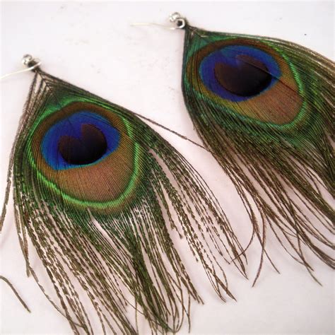 Peacock Feather Earrings | Etsy | Feather earrings, Peacock feather earrings, Peacock feather