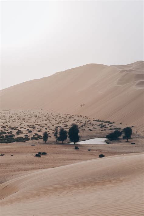 If you are using coffee syrup in your coffee, then this is the article for you. EMIRATI SWEET DUMPLINGS WITH COFFEE SYRUP (Luqaimat ...