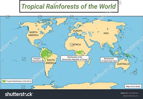 Rainforests World Tropical Rainforest Map Stock Vector Royalty Free