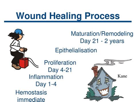 Ppt Wound Assessment And Dressing Selection Powerpoint Presentation