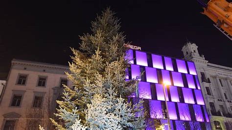 Brno Má Svůj Vánoční Strom Šestnáctimetrová Jedle Už Stojí Na Náměstí