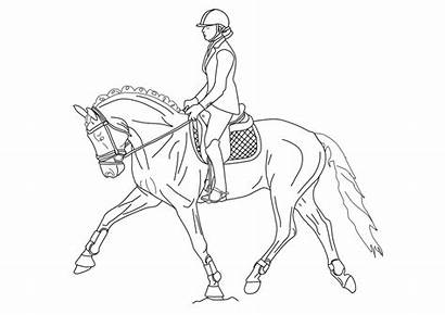 Dressage Deviantart Lineart Horse Coloring Pages Drawing