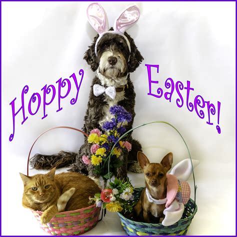 Wishing Everyone A Safe And Happy Easter Weekend