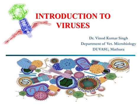 Introduction To Viruses Ppt