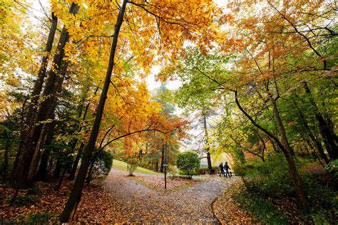 Breathtaking Fall Scenes Around Reston Virginia The City Within A