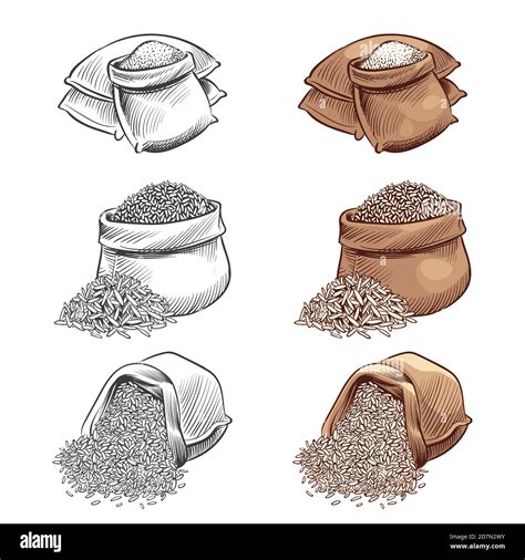 Hand Drawn Rice Sacks Vector Set Sketch Rice Isolated On White