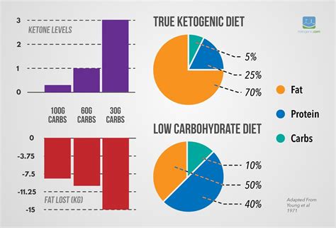 What Is The Difference Between Low Carbohydrate And Ketogenic Diets