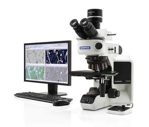 Advanced Microscopy Simplified Olympus Emea
