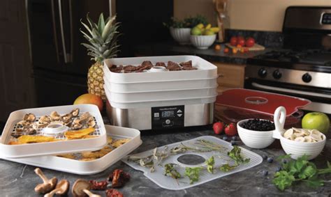 We did not find results for: Best Food Dehydrators in 2020 - Buyer's Guide