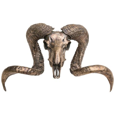 Most relevant best selling latest uploads. Decorative Bronze American Ram Skull for wall mount or ...