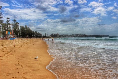 5 Reasons Why Manly Beach Is One Of The Best Beaches In Sydney Manly
