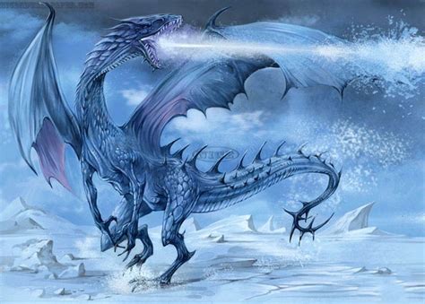 Ice Dragon Ice Dragon Fantasy Dragon Cool Dragon Pictures