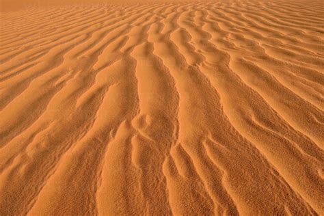 North Africa Algeria Sahara Sand Ripples Texture On A Sand Dune