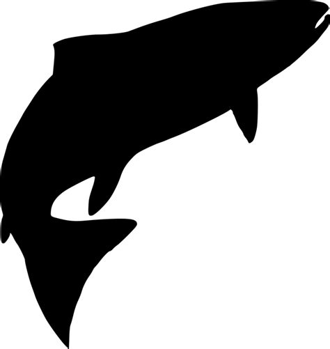 Download Fish Nature Sea Royalty Free Vector Graphic Pixabay