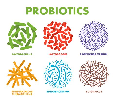 How To Choose The Best Probiotics