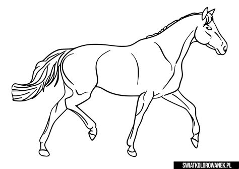 Kolorowanki Konie Pobierz I Wydrukuj Za Darmo Światkolorowanekpl
