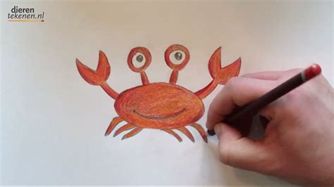 Download deze premium vector over krab vector schets hand tekenen en ontdek meer dan 14 miljoen professionele grafische middelen op freepik Dieren Tekenen: Krab / How To Draw Animals: Crab - YouTube