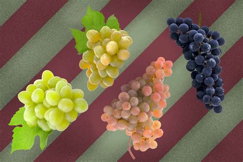 Red And White Grape Wine Blends Are More Common Than You Think Wine