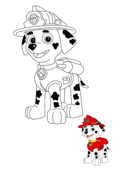 First Class Paw Patrol Activity Sheets 1st Place Certificate Template Free