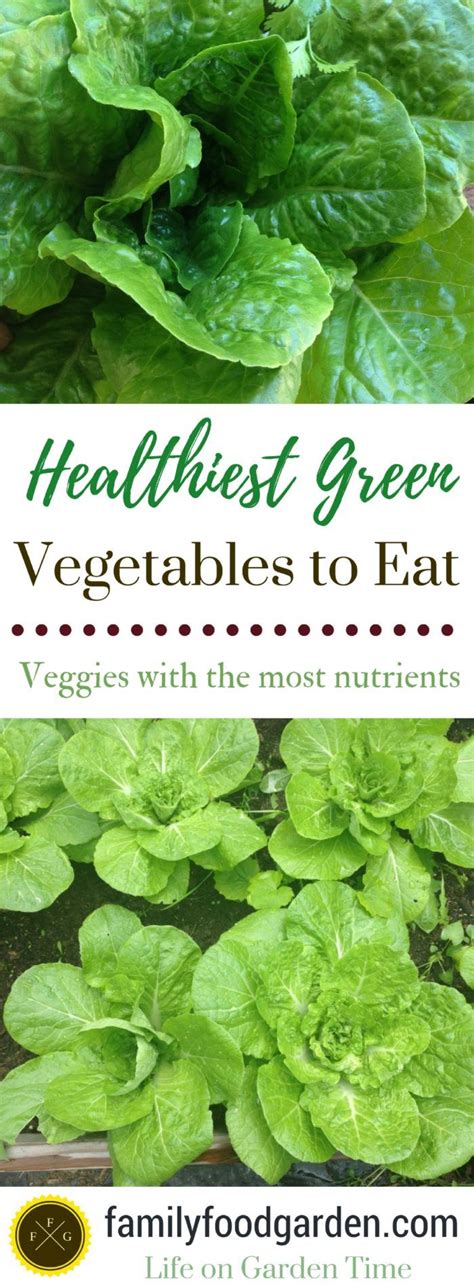 Healthiest Green Vegetables Dark Leafy Greens Com Imagens The Fresh