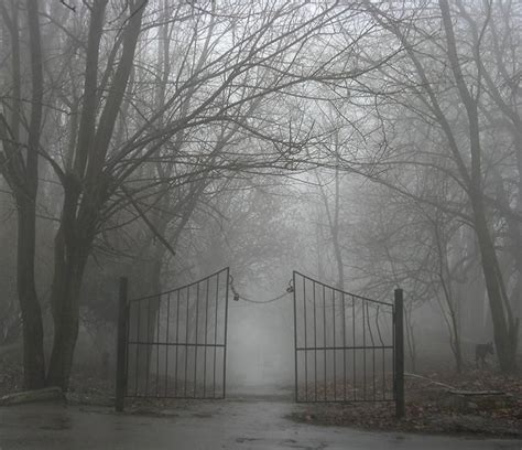 Gateway To Fog By Andrew Krotov Creepy Fog Nature Photographs Nature