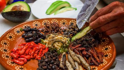 Viscosos Pero Sabrosos Estos Son Los 7 Insectos Más Consumidos En México