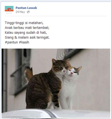 Kala senja telah jingga, tandanya siang akan berganti, ketika padi diolah menjadi beras, untuk dimasak di sore hari, selamat menjalankan aktivitas, di. KomenSen: PANTUN LAWAK ORI.