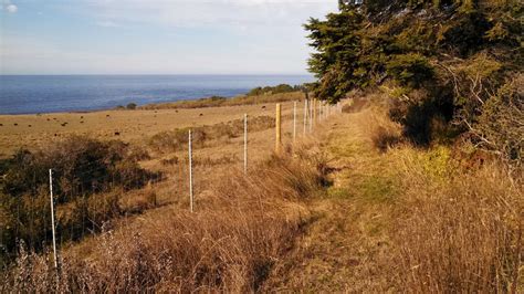 Newport Trail Mendocino Land Trust