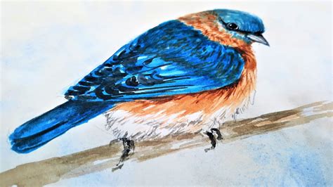 Watercolor Bluebird Tutorial Youtube