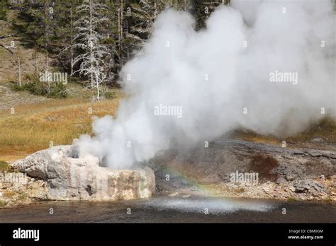 Riverside Geyser Eruption With Rainbow Upper Geyser Basin Geothermal