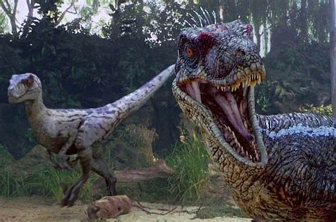 Jurassic World Branded Wrong As Scientists Reveal Velociraptors Had