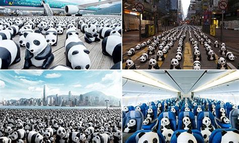 Panda Monium Hundreds Of Papier Mâché Pandas Descend On Hong Kong To