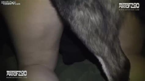 Close Up On Dog Fucking A Cum Hole