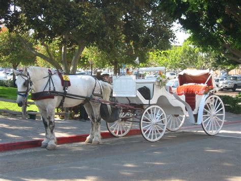 Horse Drawn Carriage Rides Around San Diego Tourguidetim Reveals San