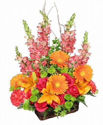Basket Arrangement Brilliant Flowers Arrangements Birthday Floral