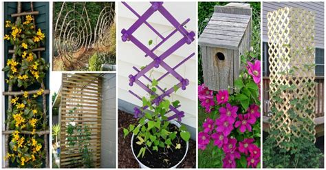 30 Diy Trellis Ideas For Your Beautiful Garden